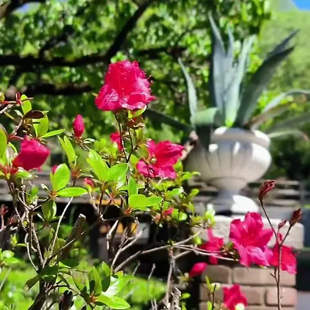 Marchesa Lejlighed Arona