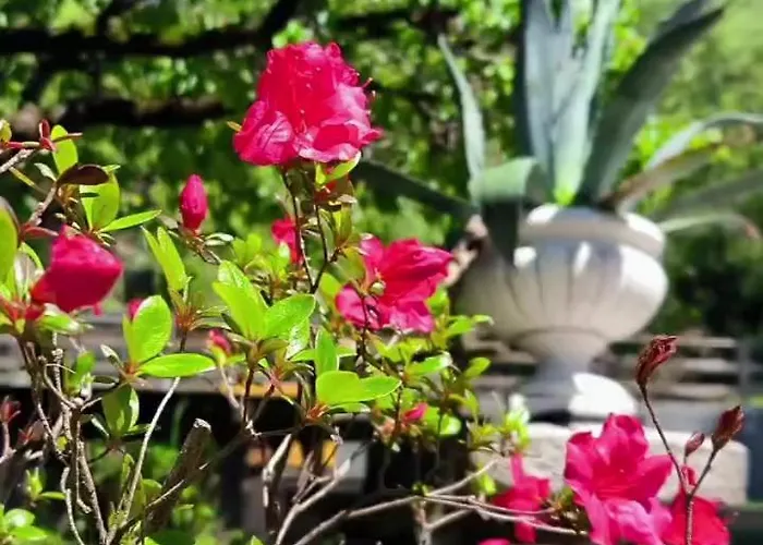 Marchesa Апартаменты Арона